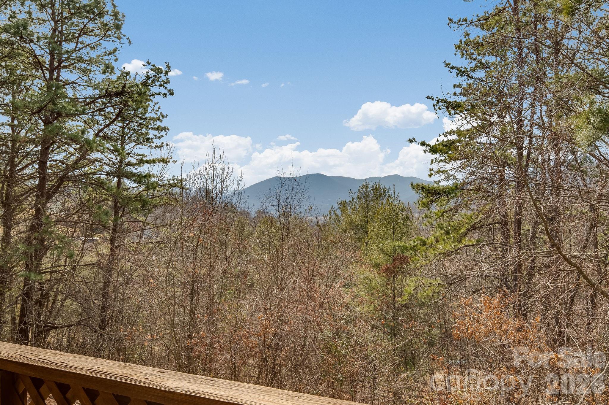 1330 Maple Springs Drive Waynesville NC 28785