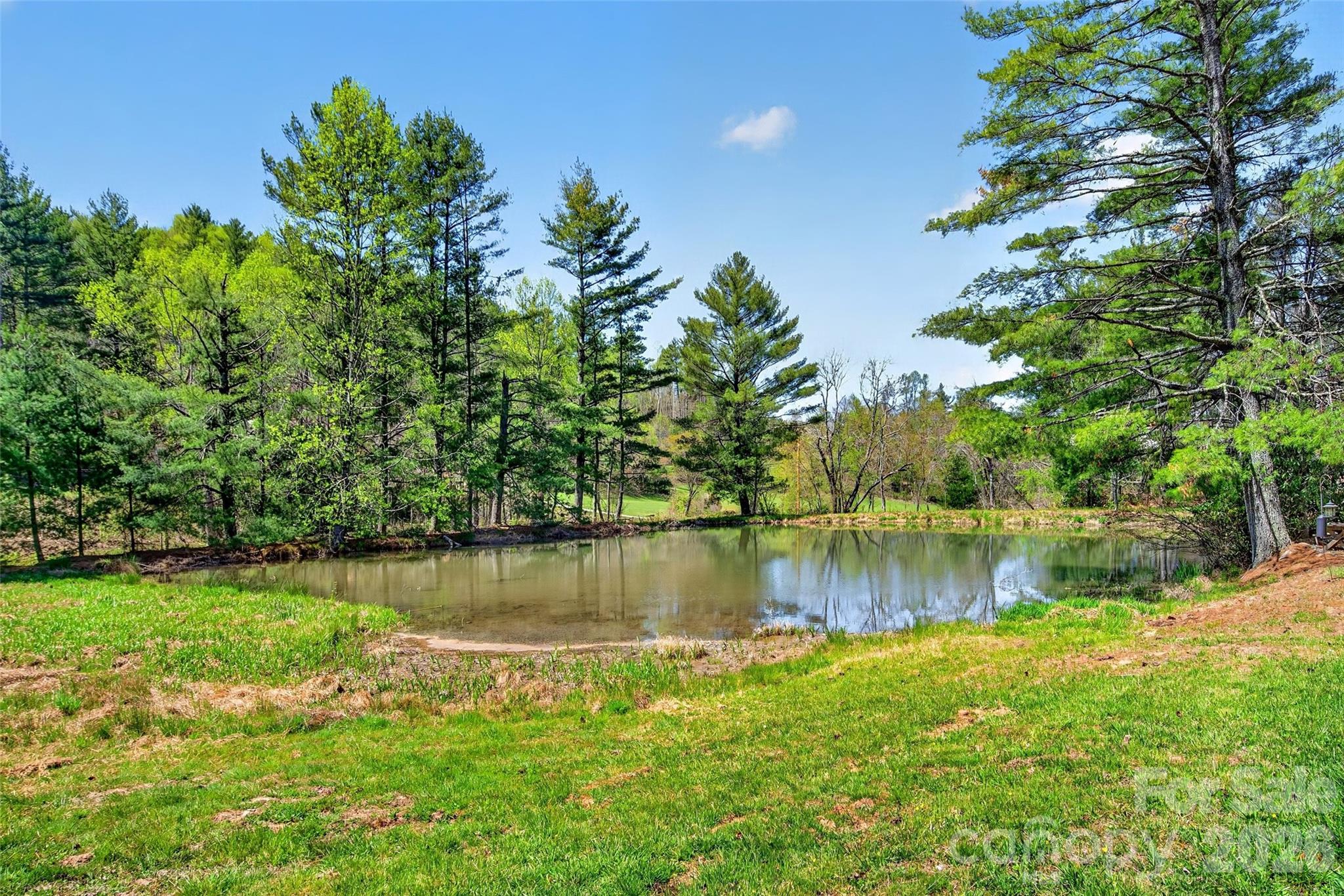 1959 Jackson Town Road Spruce Pine NC 28777