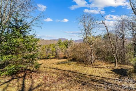 350 Sandy Bottom Road Marshall NC 28753