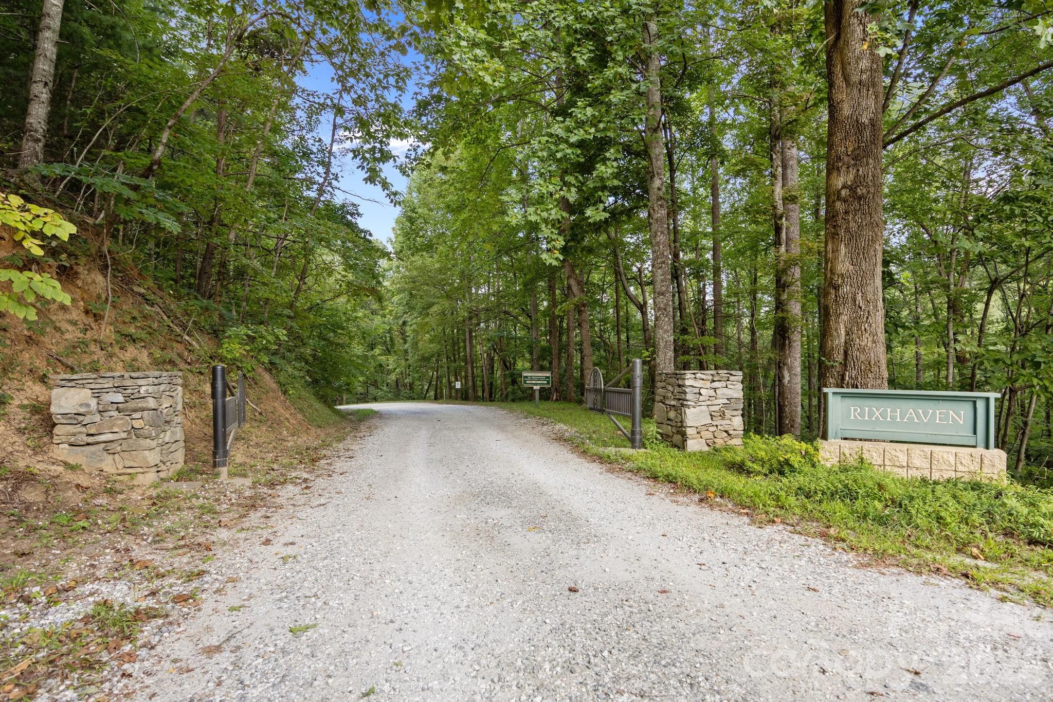 1 Rixhaven Drive Saluda NC 28773