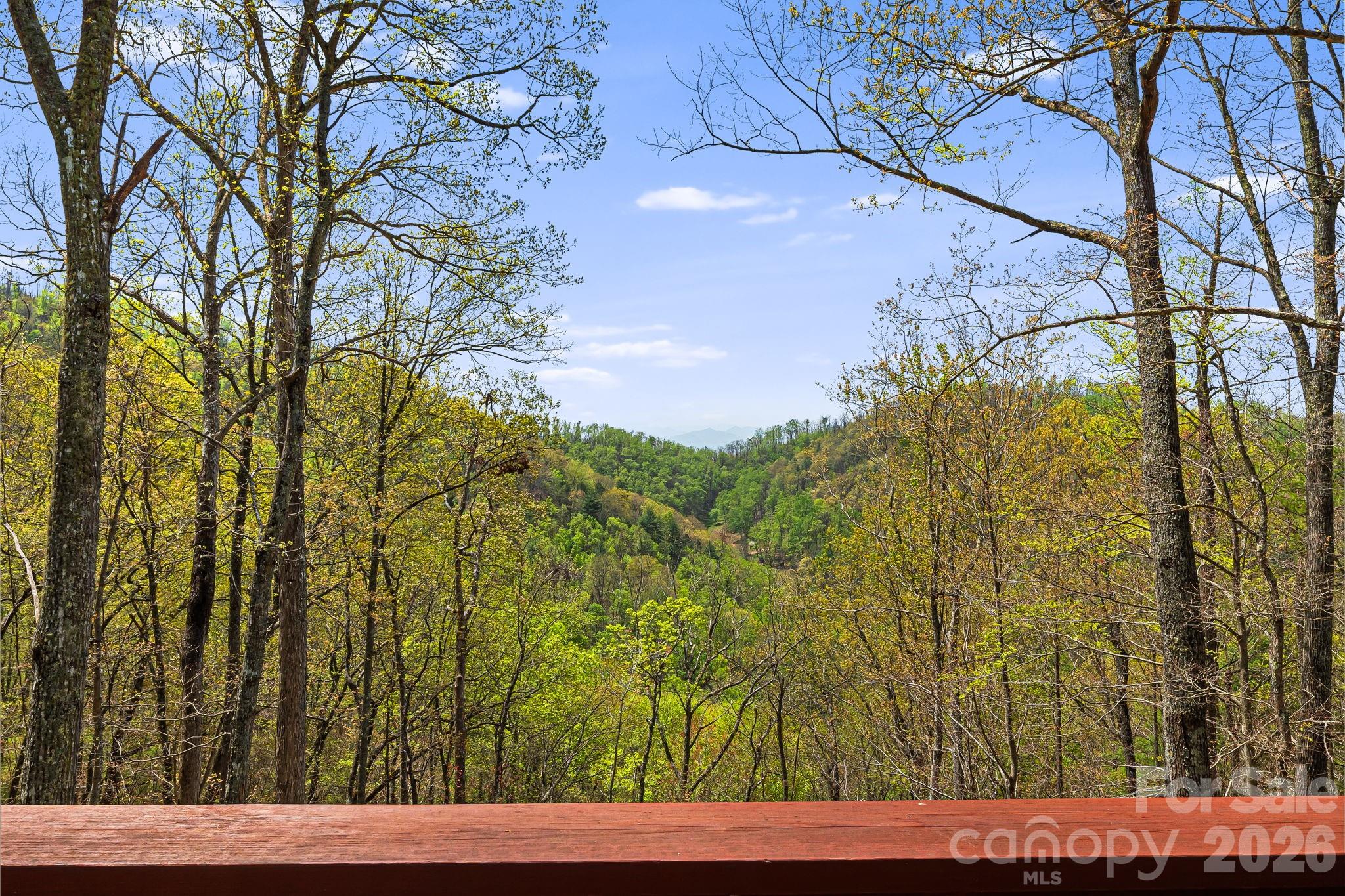 120 Wilderness Drive Weaverville NC 28787