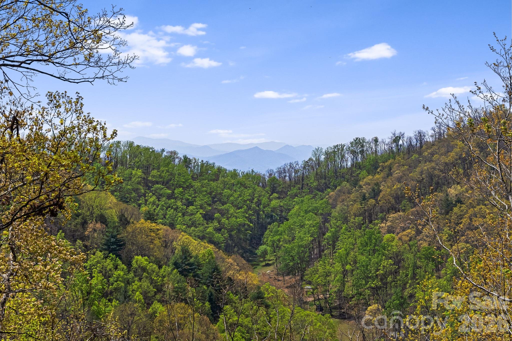 120 Wilderness Drive Weaverville NC 28787