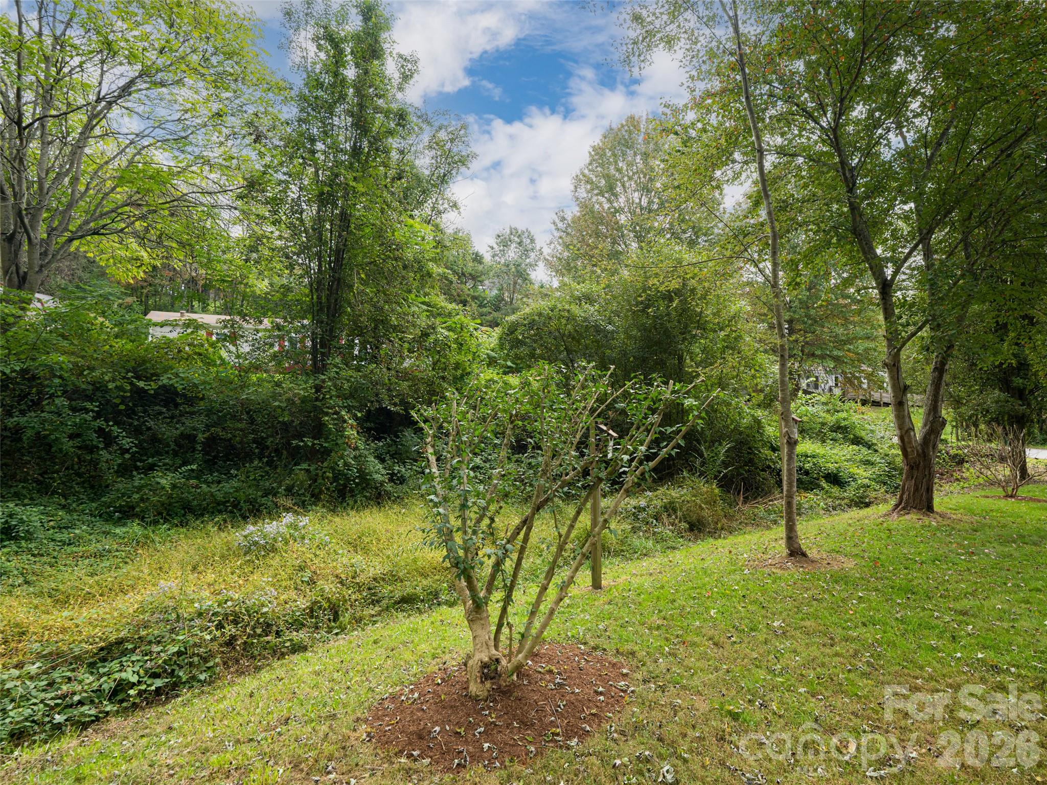 101 Heather Drive Asheville NC 28806