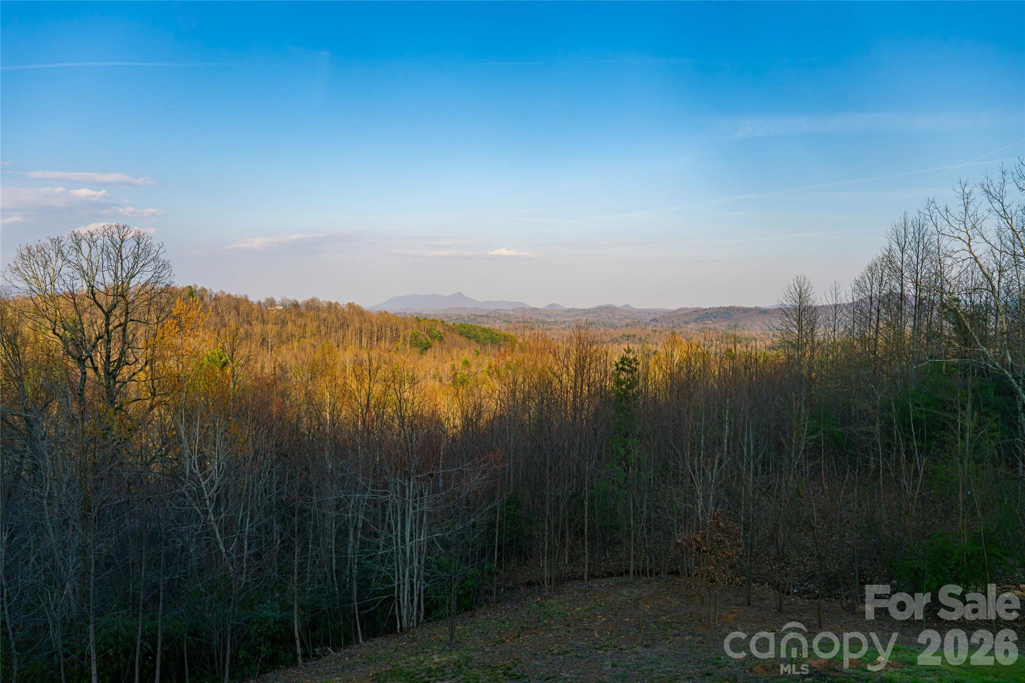 527 Falkirk Way Zirconia NC 28790