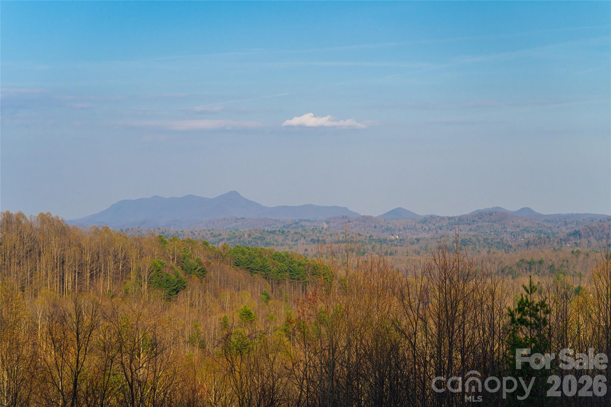527 Falkirk Way Zirconia NC 28790