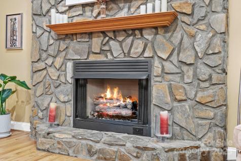 458 Bluemist Way Arden NC 28704