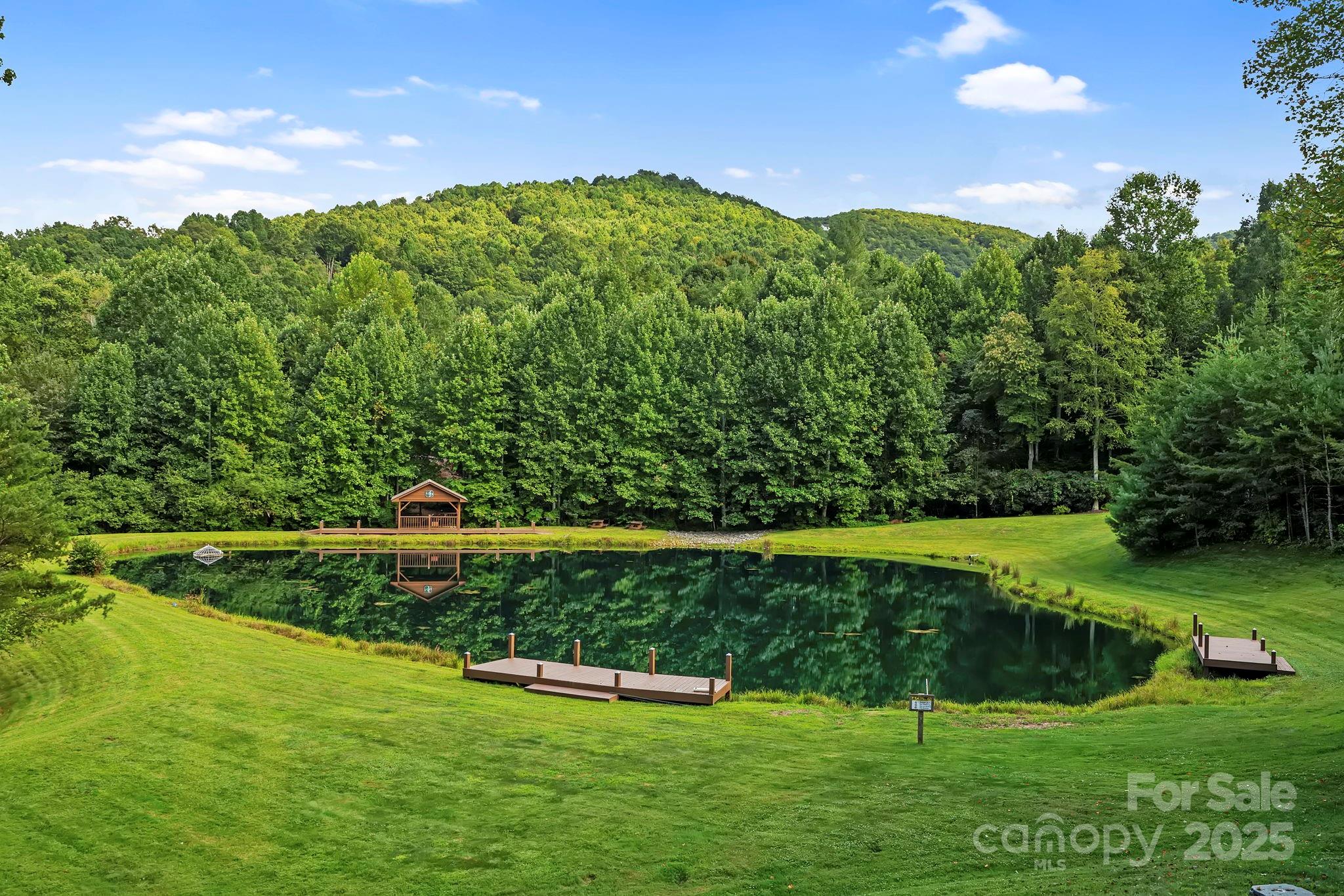 458 Blue Mist Way Arden NC 28704
