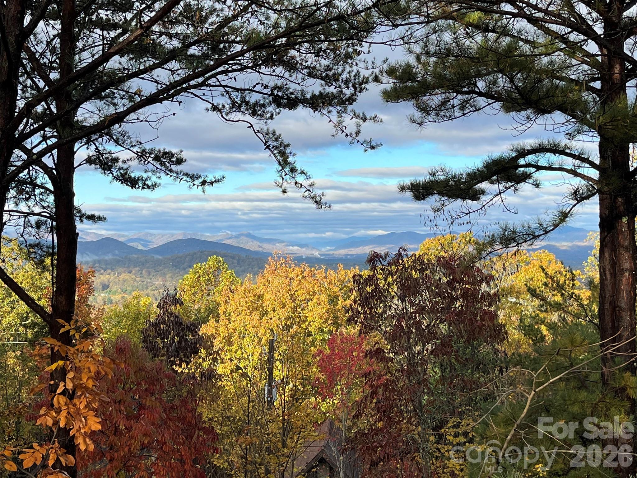 105 Avondale Heights Road Asheville NC 28803