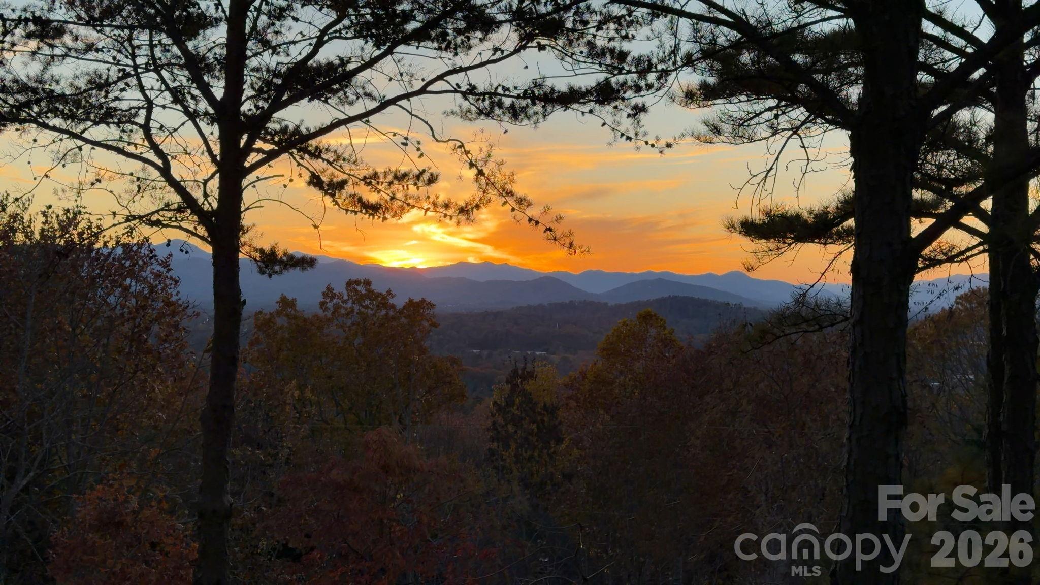 105 Avondale Heights Road Asheville NC 28803