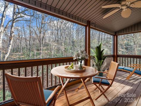 10 Duya Court Brevard NC 28712