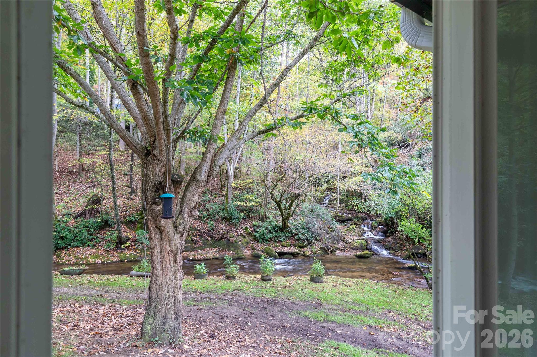 214 Chin Tree Road Sylva NC 28779