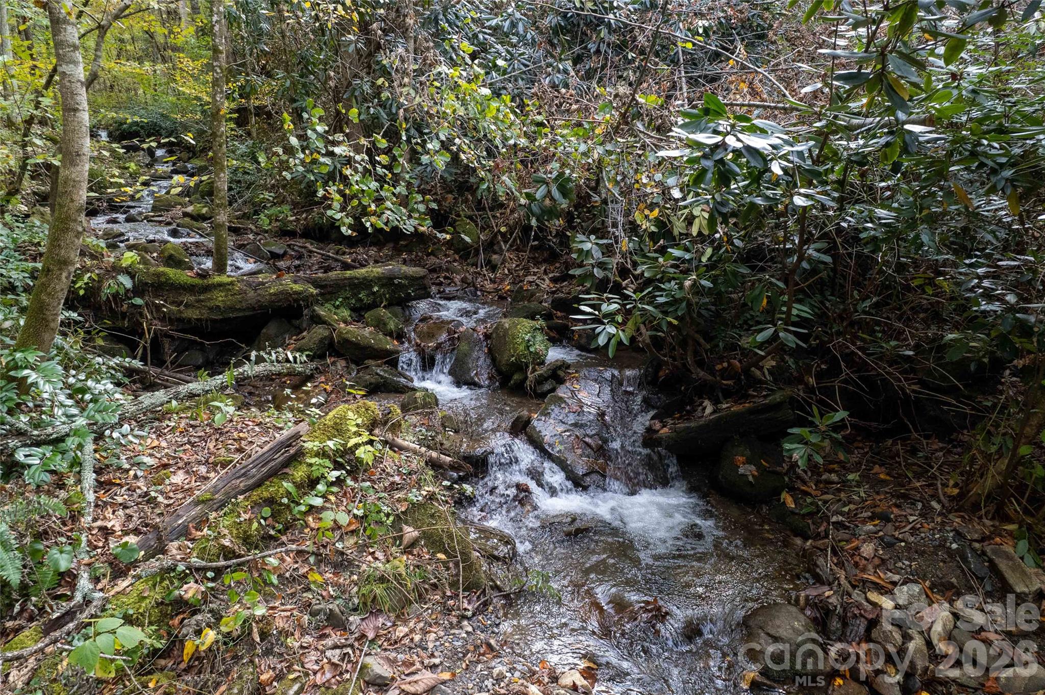 214 Chin Tree Road Sylva NC 28779
