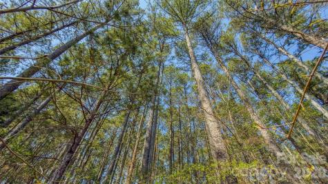 17643 Efird Road Albemarle NC 28001