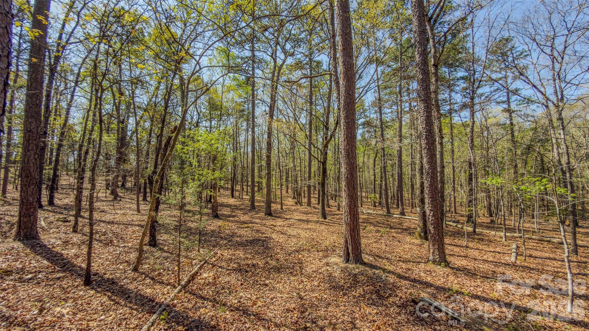 17643 Efird Road Albemarle NC 28001