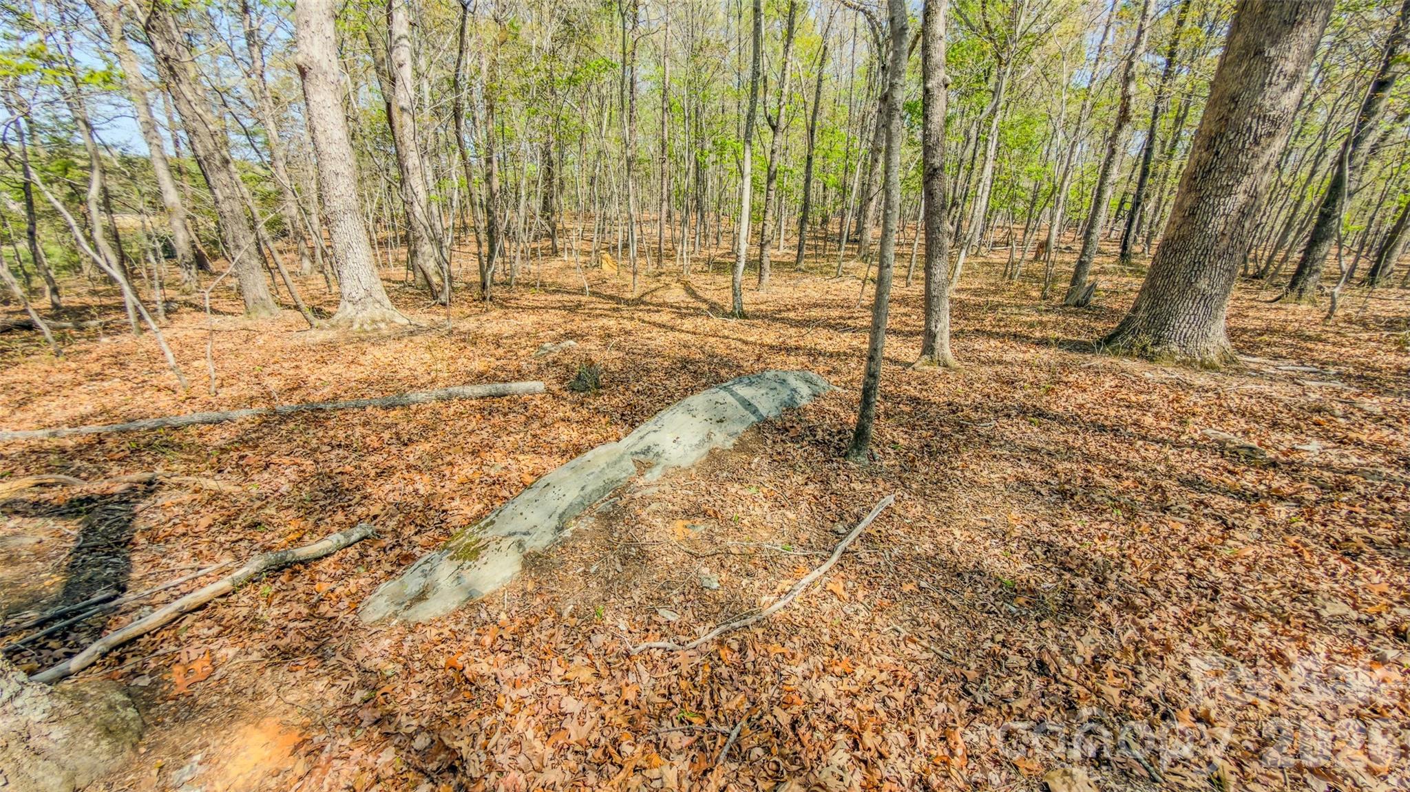 17643 Efird Road Albemarle NC 28001
