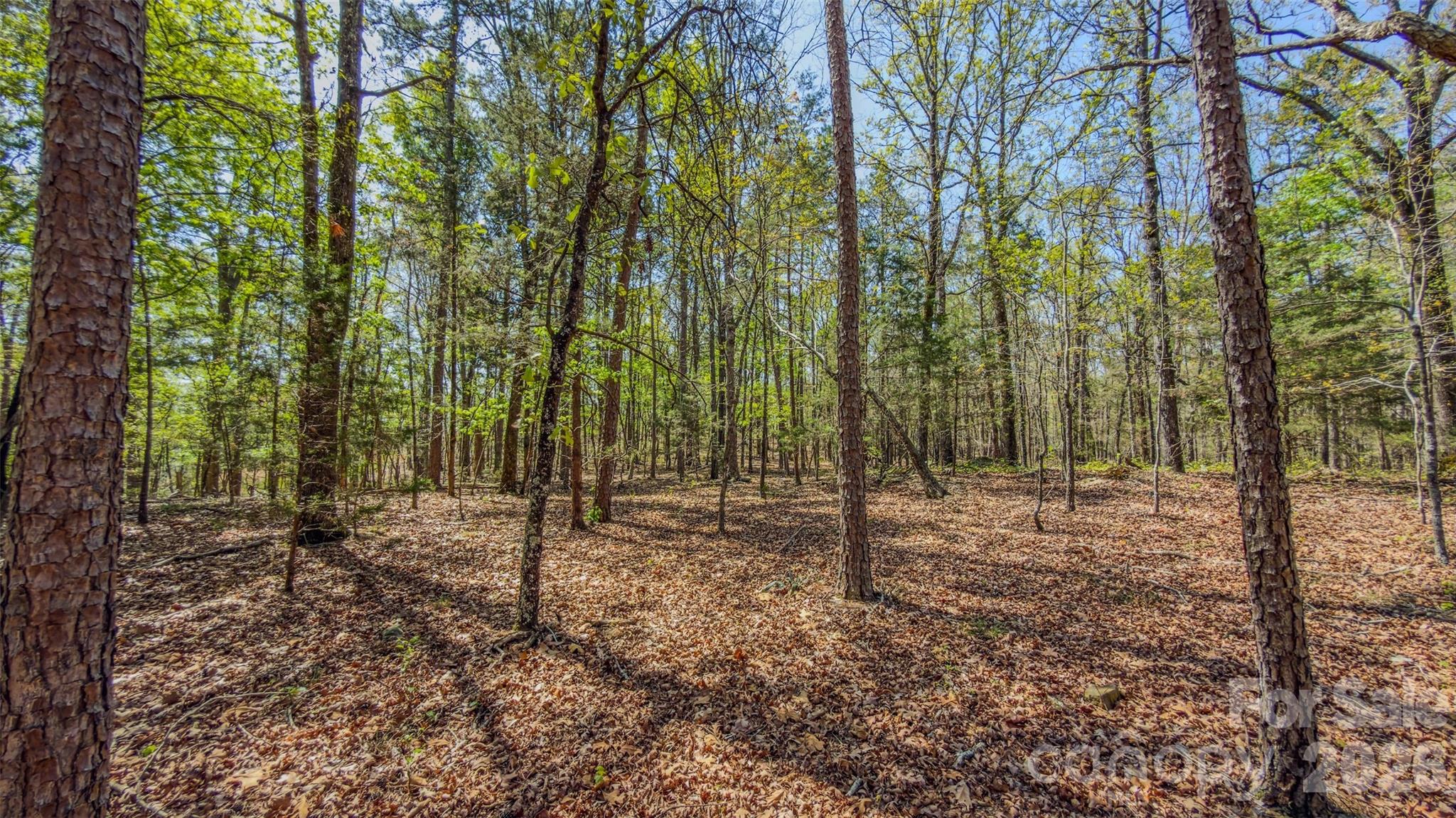 17643 Efird Road Albemarle NC 28001