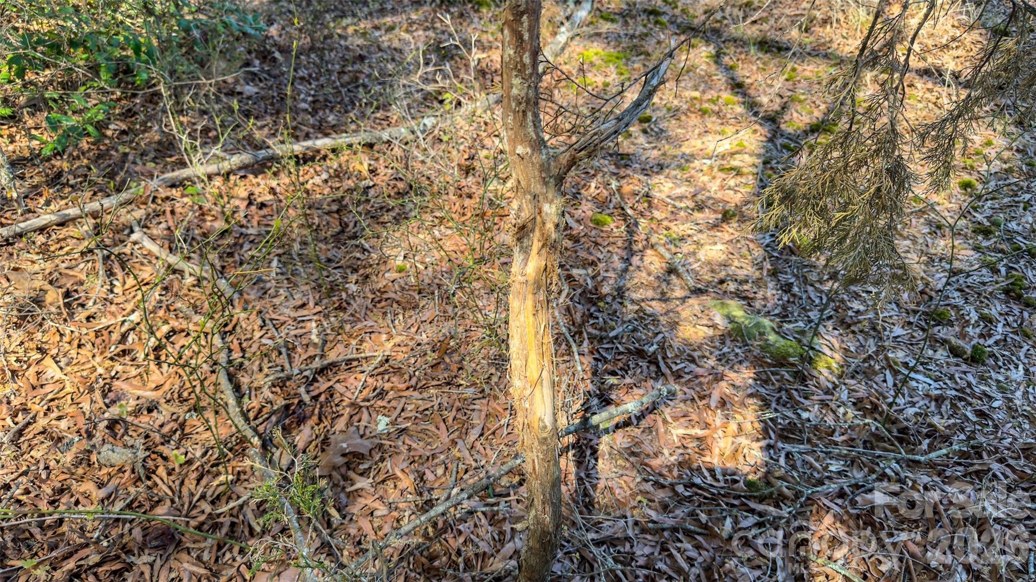 17643 Efird Road Albemarle NC 28001
