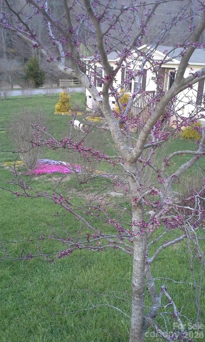 703 Garren Creek Road Fairview NC 28730