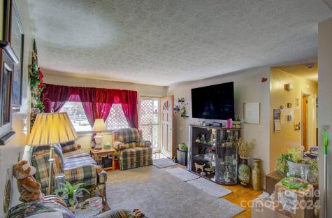 357 Deaverview Road Asheville NC 28806