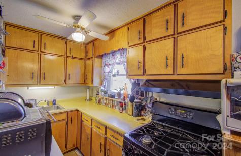 357 Deaverview Road Asheville NC 28806