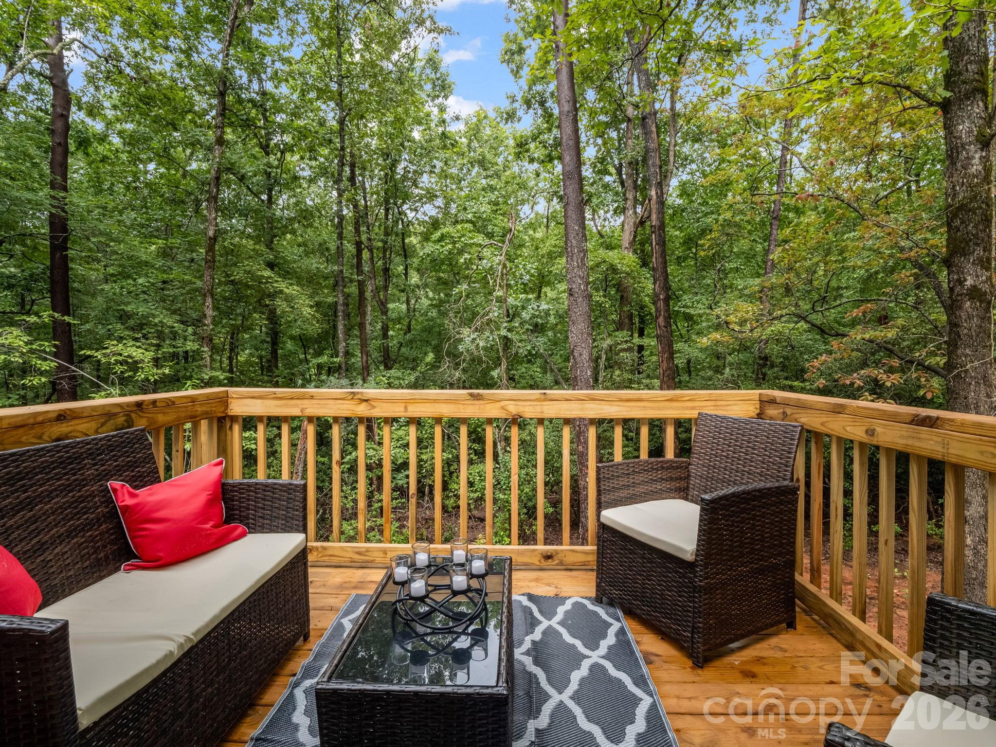 257 Roadrunner Circle Lake Lure NC 28746