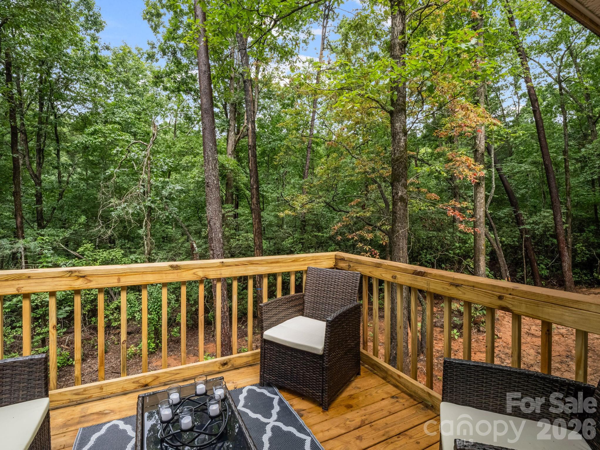 257 Roadrunner Circle Lake Lure NC 28746