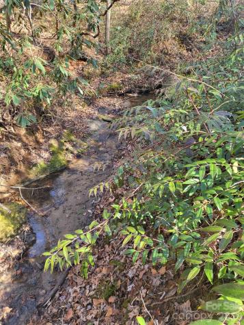 257 Roadrunner Circle Lake Lure NC 28746