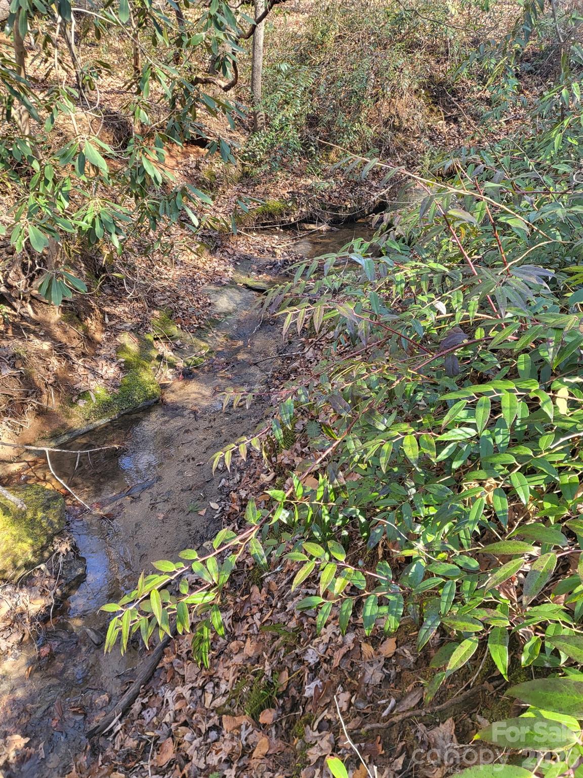 257 Roadrunner Circle Lake Lure NC 28746