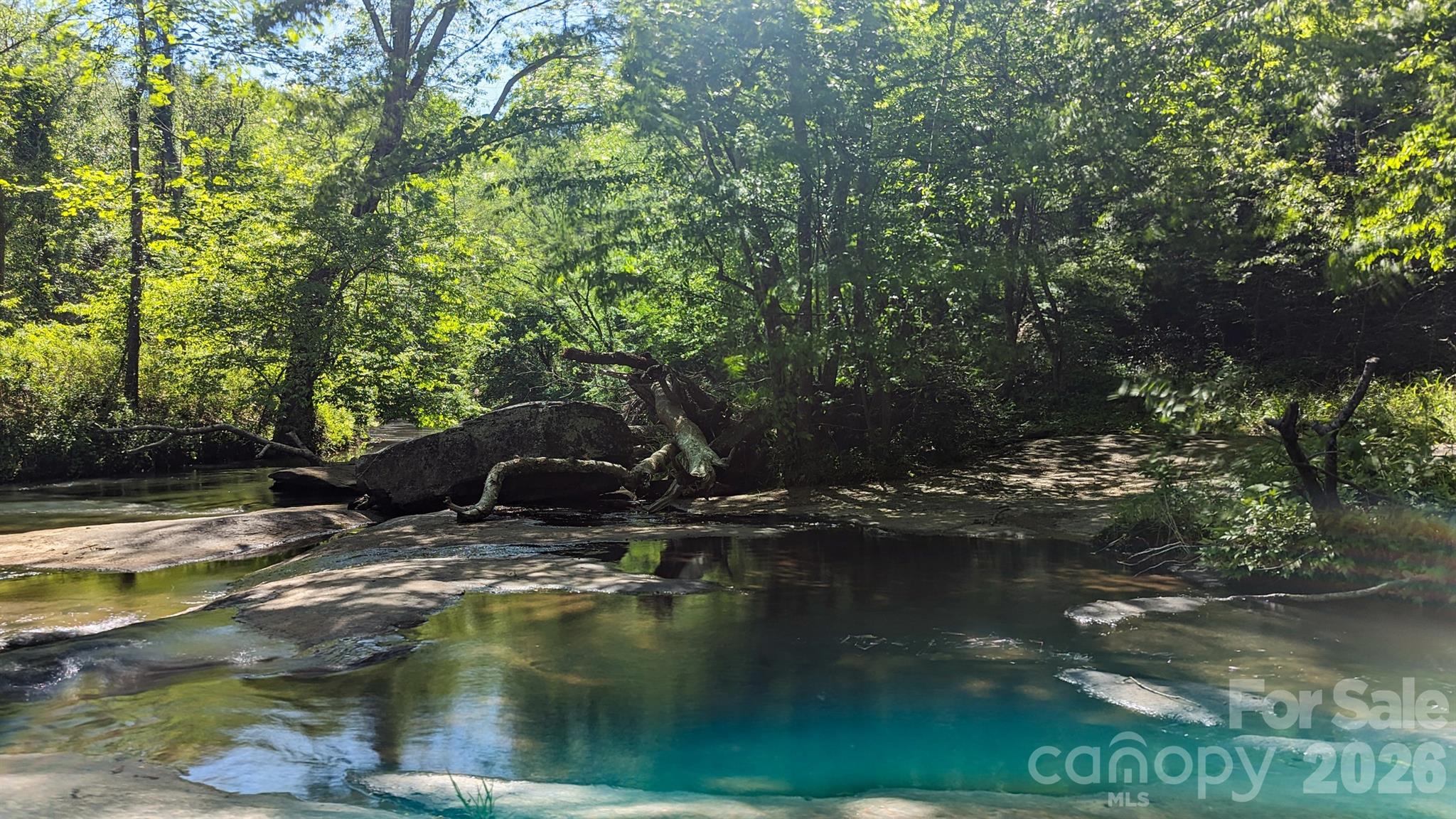 257 Roadrunner Circle Lake Lure NC 28746