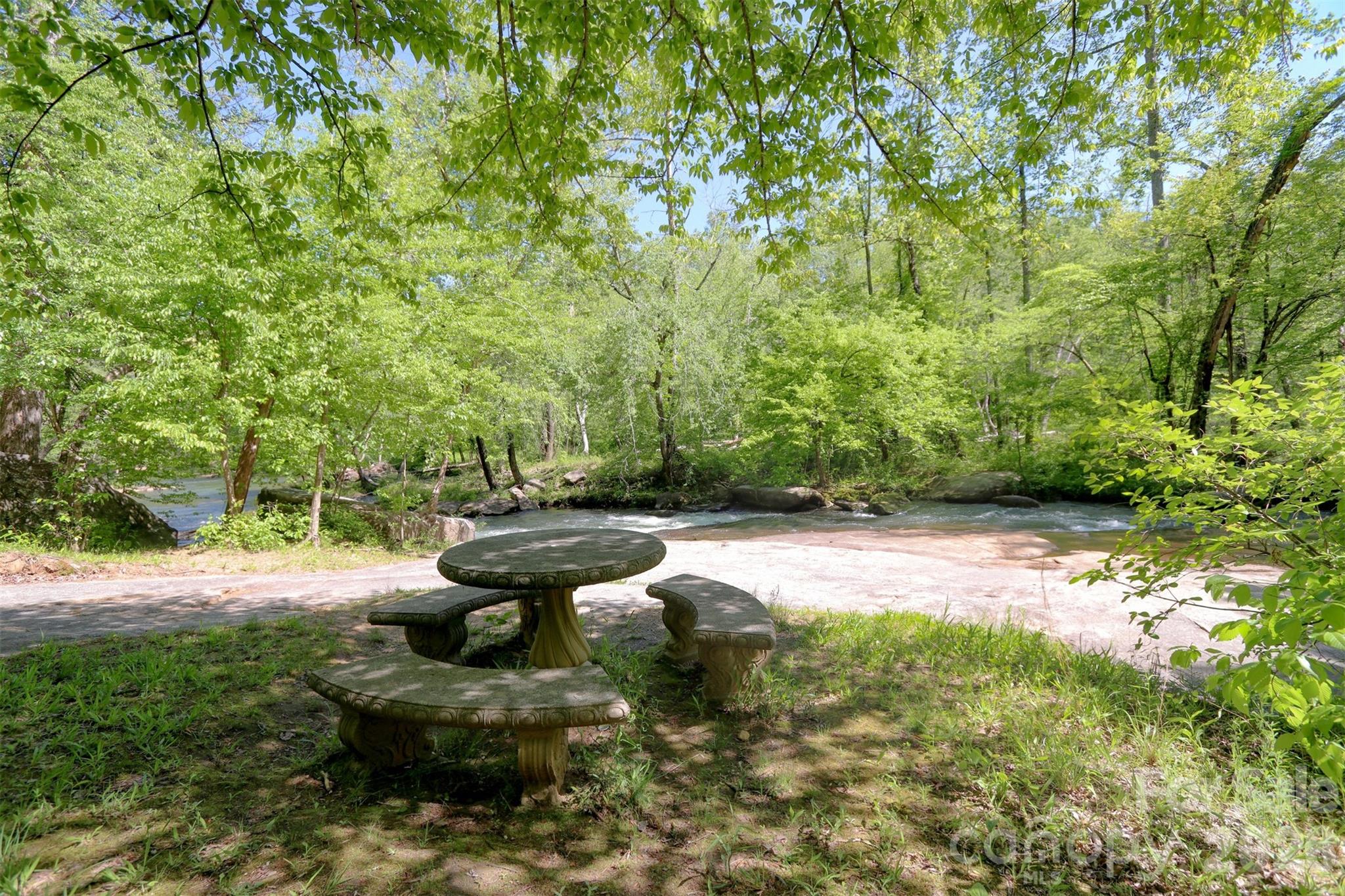 257 Roadrunner Circle Lake Lure NC 28746