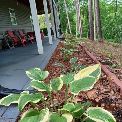 3645 Lake Bluff Drive Sherrills Ford NC 28763