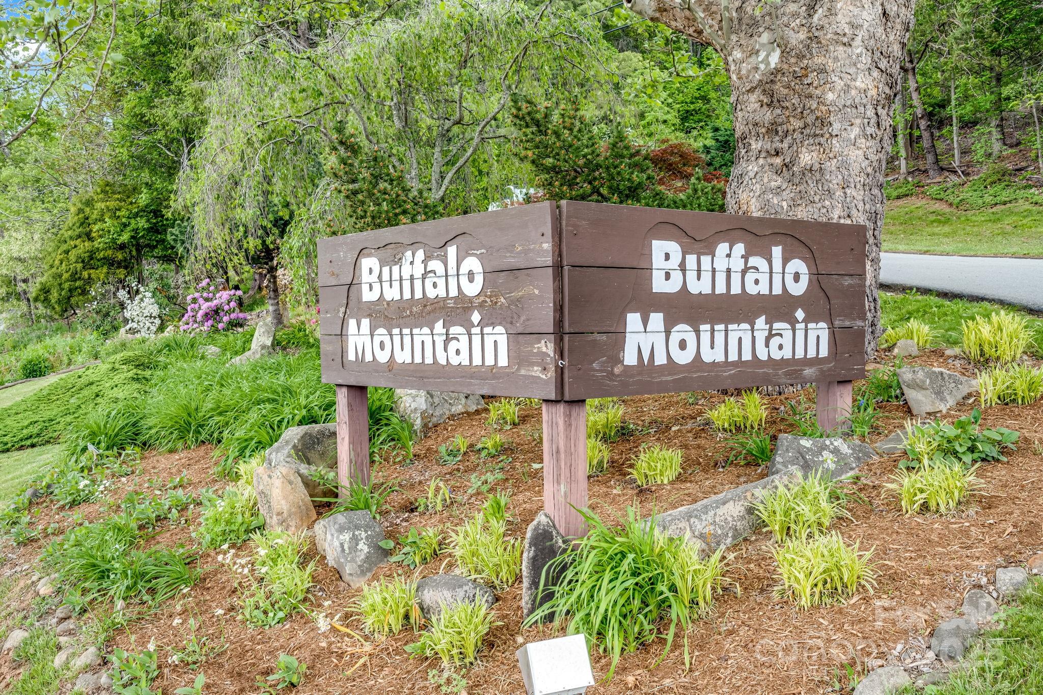 8 Quinn Court Asheville NC 28805