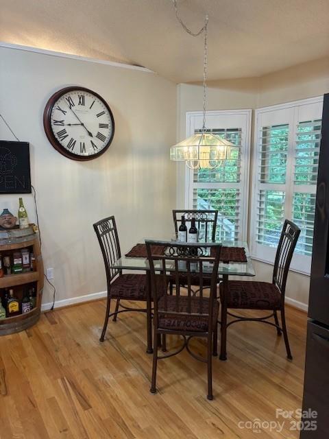 23 Dvga Court Brevard NC 28712