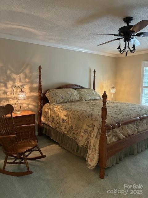 23 Dvga Court Brevard NC 28712