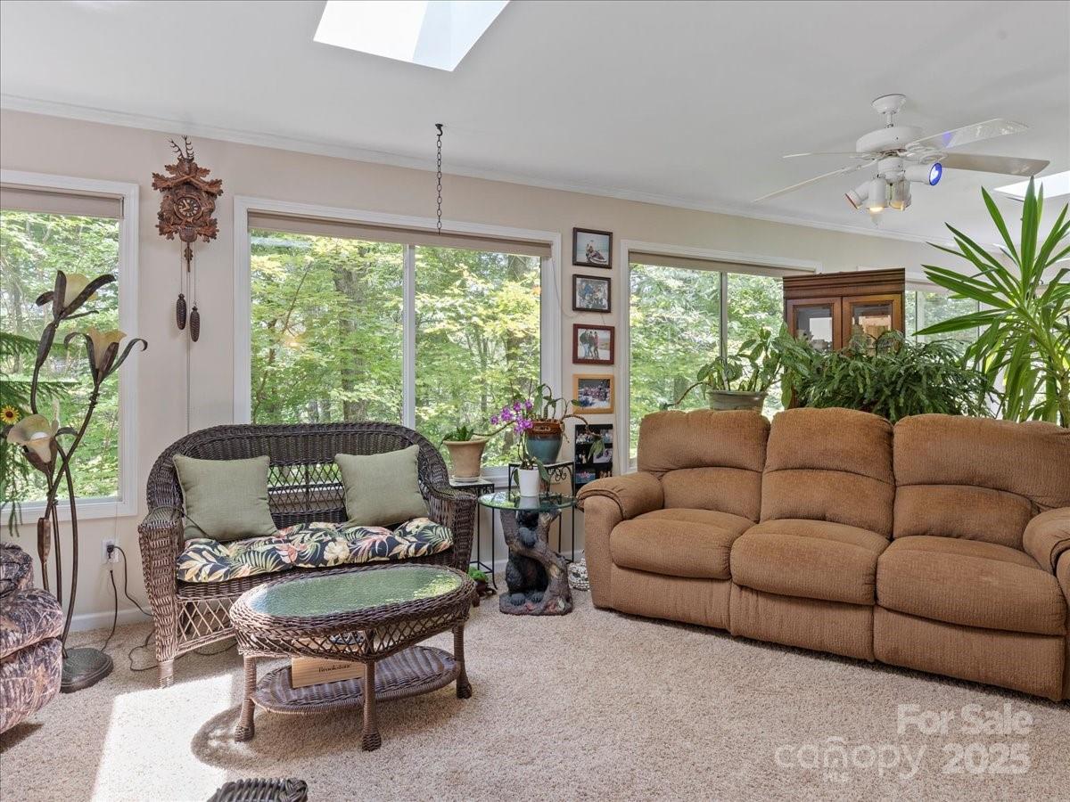 23 Dvga Court Brevard NC 28712