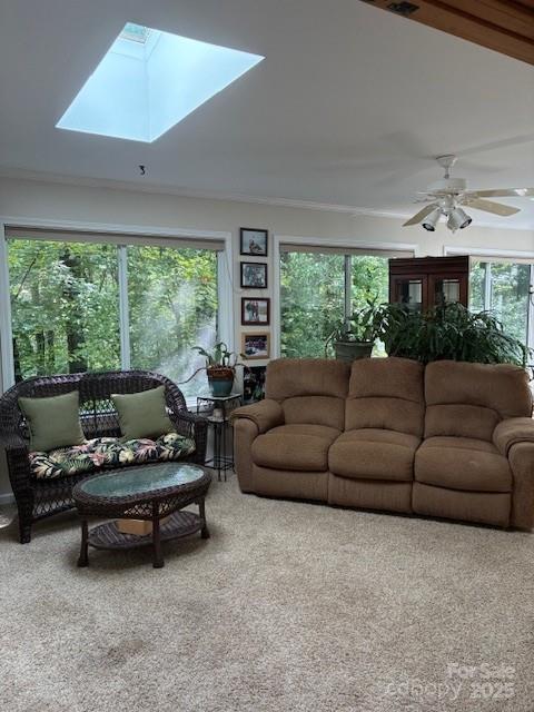 23 Dvga Court Brevard NC 28712
