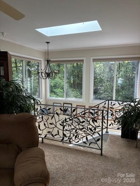 23 Dvga Court Brevard NC 28712