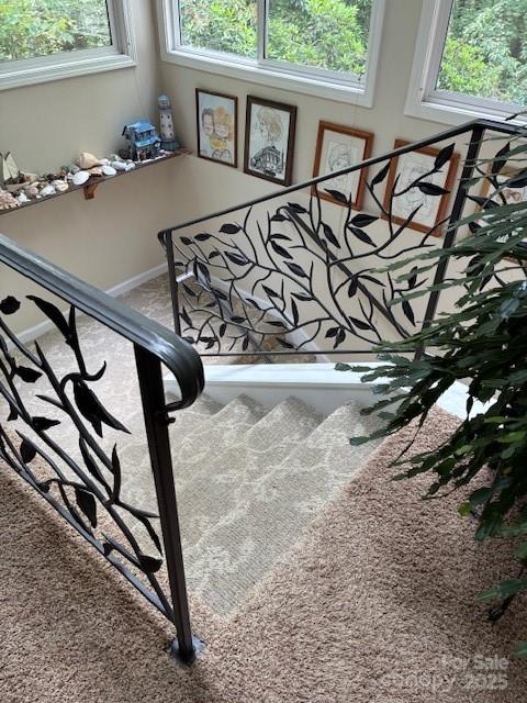 23 Dvga Court Brevard NC 28712