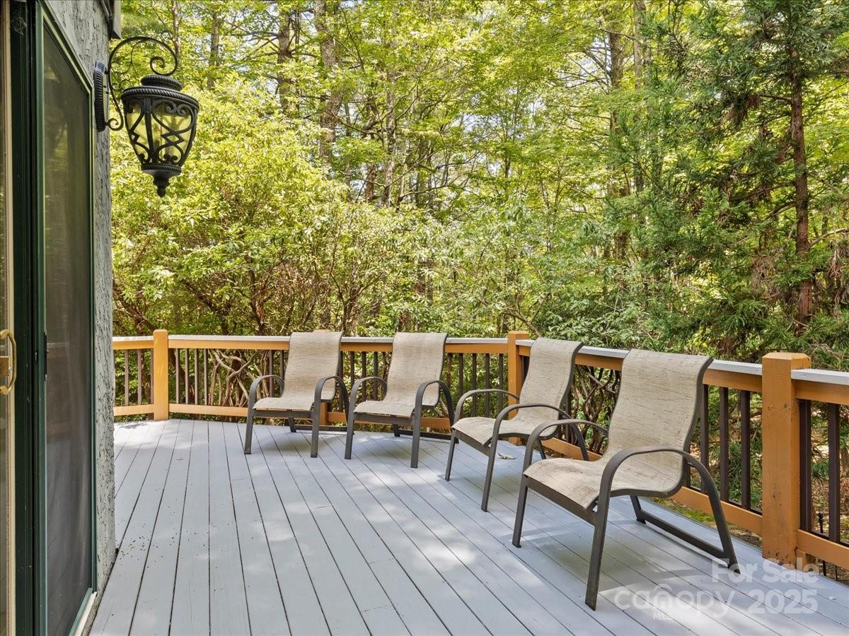 23 Dvga Court Brevard NC 28712