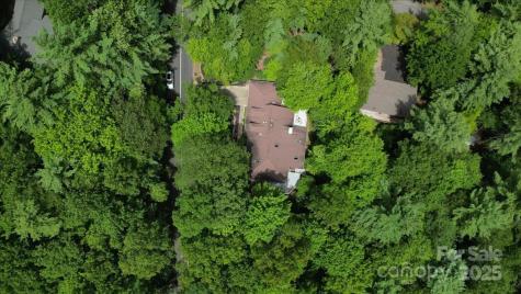 23 Dvga Court Brevard NC 28712