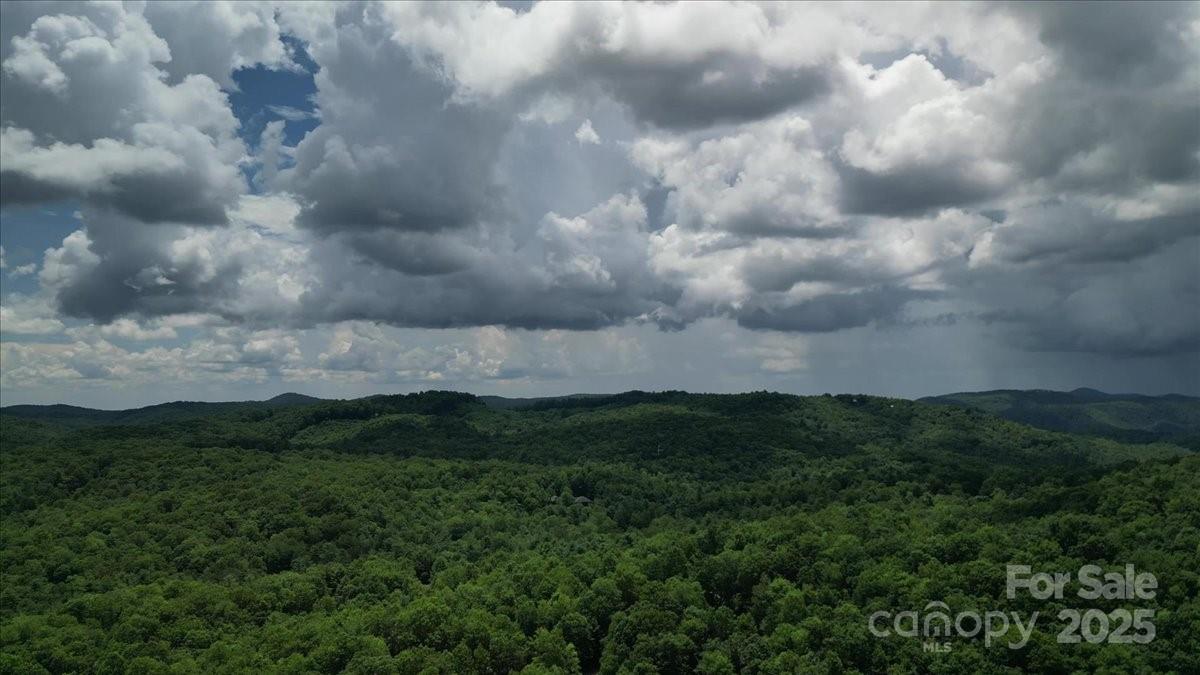 23 Dvga Court Brevard NC 28712