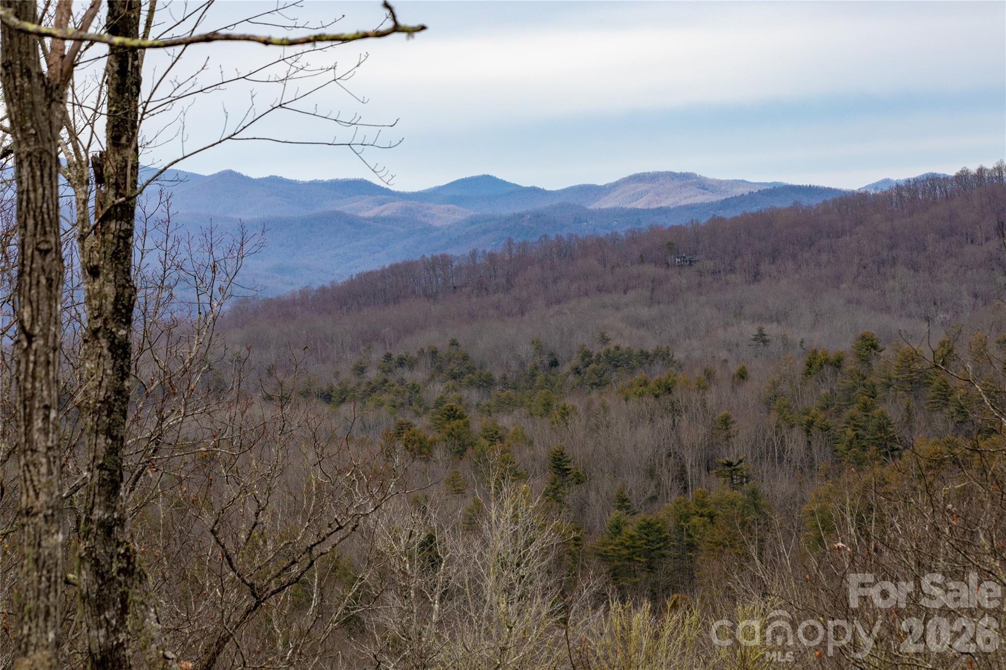 371 E Falls View Drive Pisgah Forest NC 28768