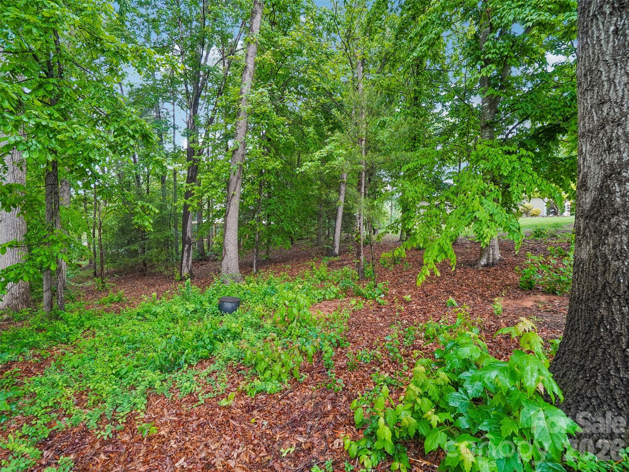 38 Forest Knoll Drive Weaverville NC 28787