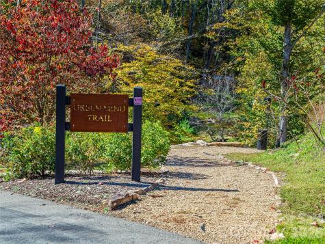 511 Wilma Dykeman Trail Asheville NC 28804