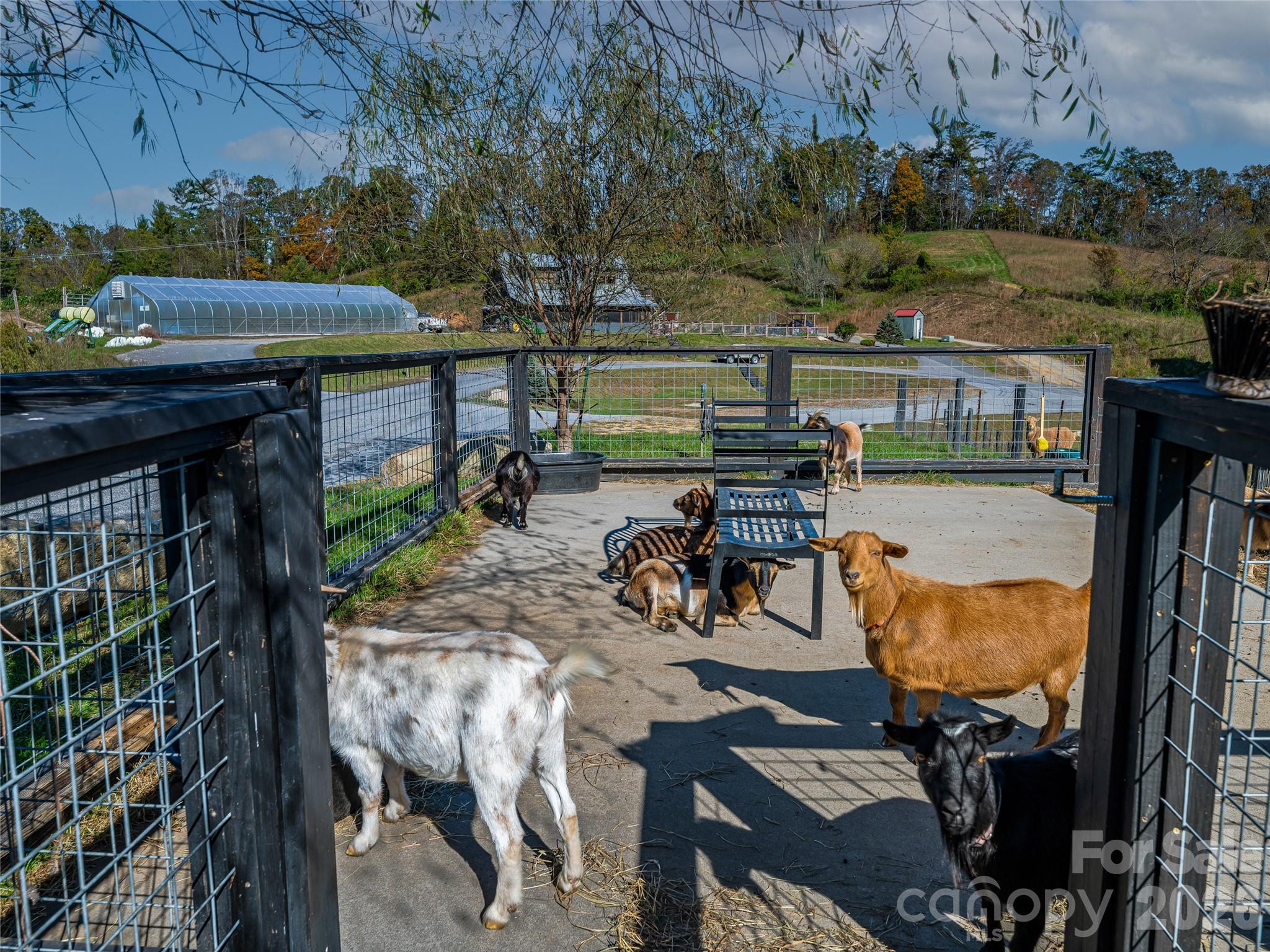 511 Wilma Dykeman Trail Asheville NC 28804