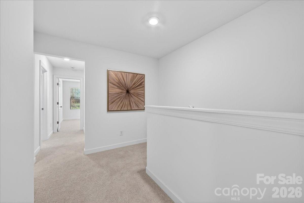 1428 Anderson Street Charlotte NC 28205