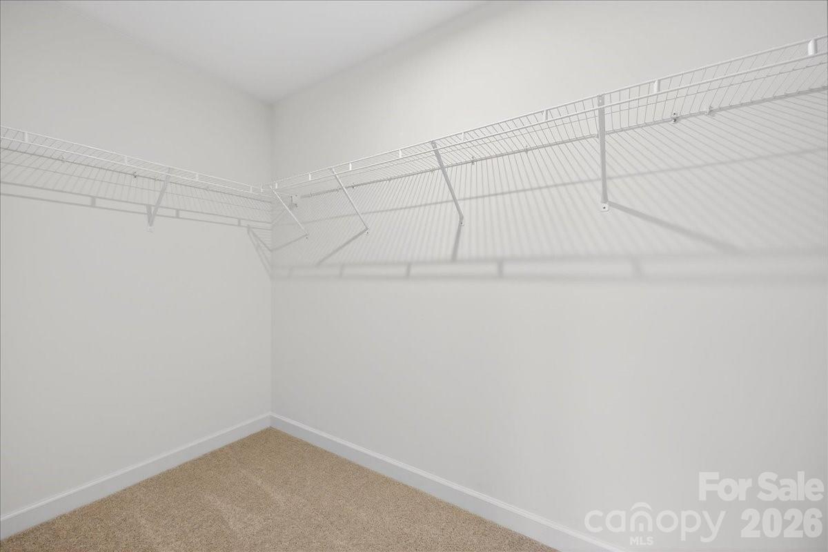 1428 Anderson Street Charlotte NC 28205