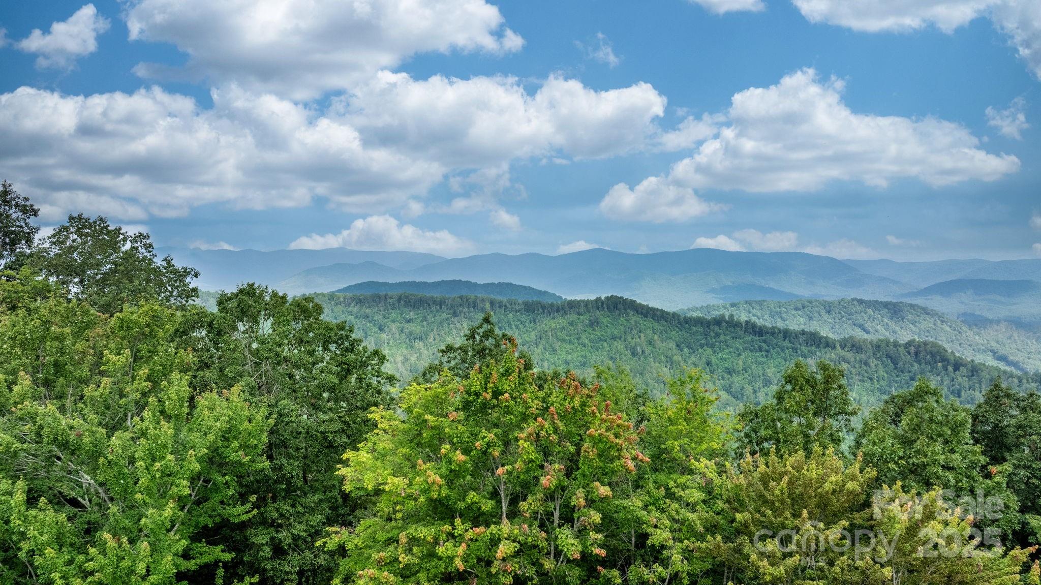 4415 Laurel Ridge Drive Lenoir NC 28645