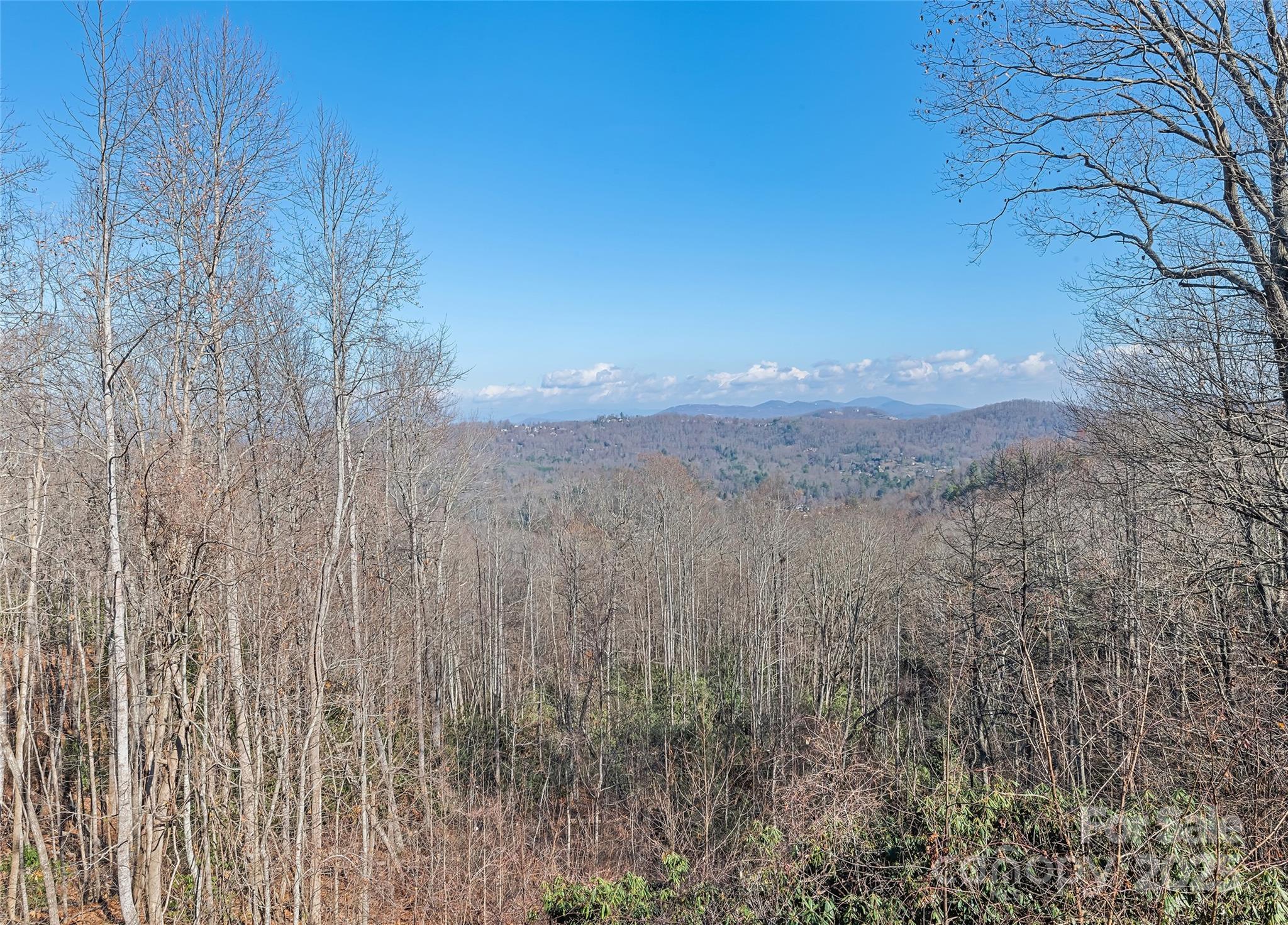 1350 Davis Mountain Road Hendersonville NC 28739