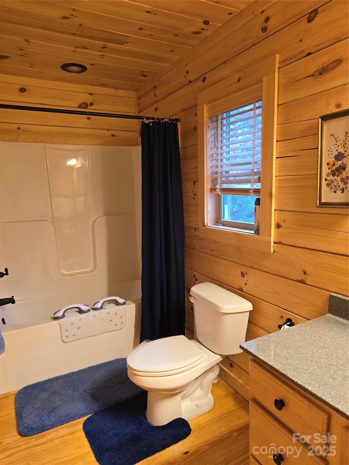 1405 Sequoyah Woods Drive Brevard NC 28712